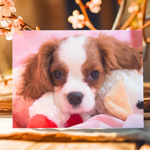 Tarjeta de Felicitación de Cachorro Adorable Caval