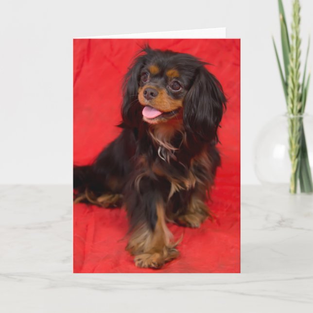 Tarjeta de felicitación de cachorro Cavalier King  (Anverso)