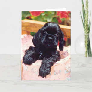 Tarjeta de felicitación de cachorro Cocker Spaniel