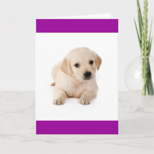 Tarjeta de Felicitación de Cachorro de Perro de Ag