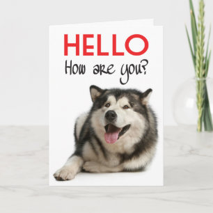 Tarjeta de Felicitación de Cachorro de Perro Malam
