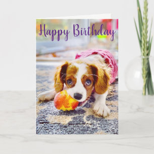 Tarjeta de Felicitación de Cachorro King Charles C