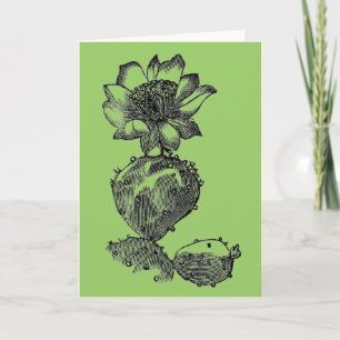 Tarjeta de felicitación de Cactus