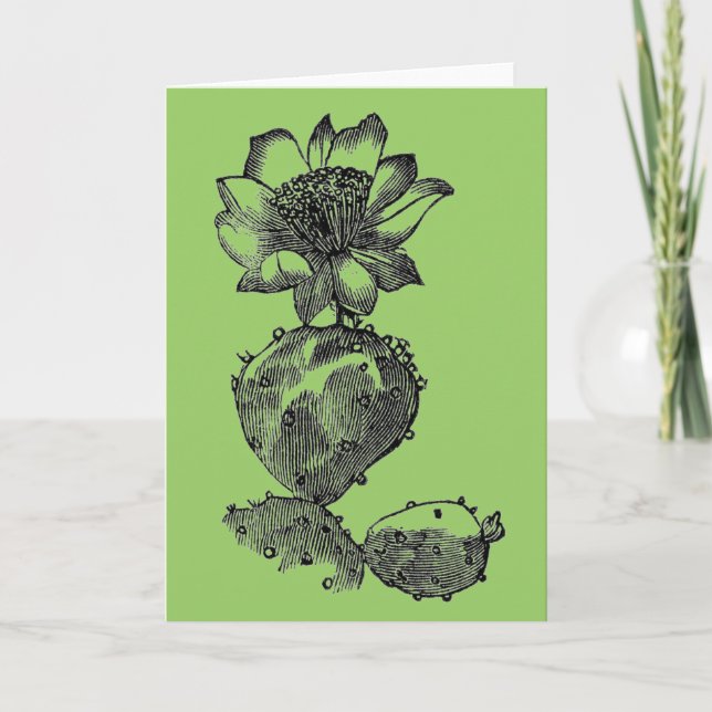 Tarjeta de felicitación de Cactus (Anverso)