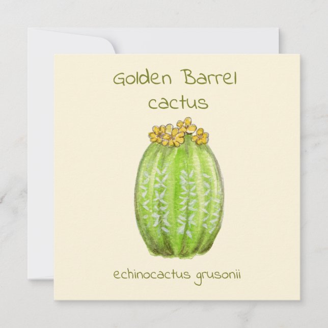 tarjeta de felicitación de cactus Barril Dorado (Anverso)