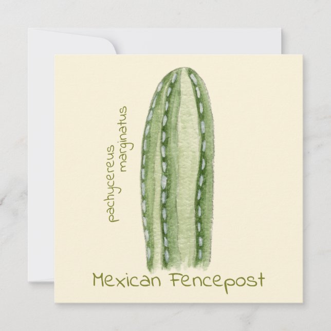 tarjeta de felicitación de cactus Mexican Fencepos (Anverso)