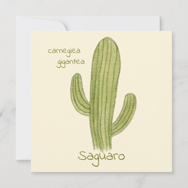 Tarjeta de felicitación de cactus saguaro (Anverso)