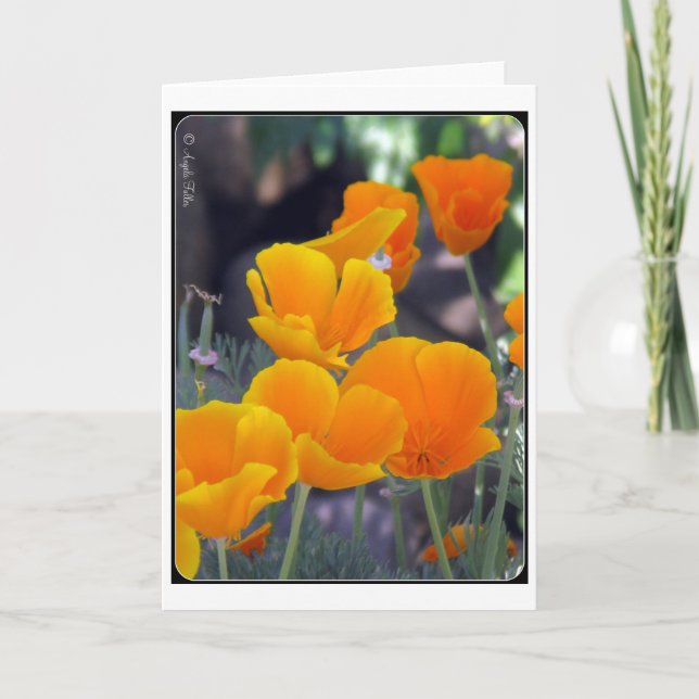 Tarjeta de felicitación de California Poppies (Anverso)