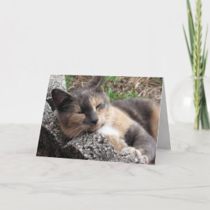 Tarjeta de felicitación de Callie Muffin