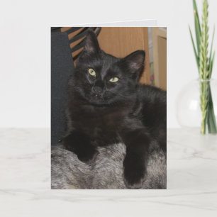 Tarjeta de felicitación de Cat Blank Ranger