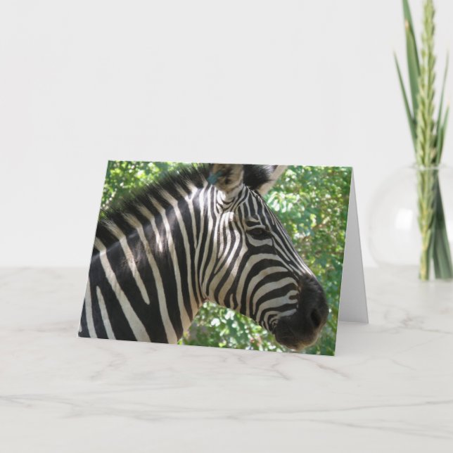 Tarjeta de felicitación de cebra delgada (Anverso)