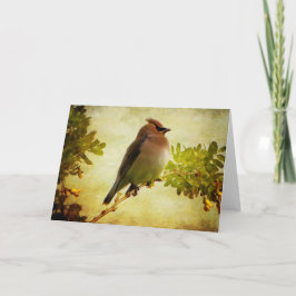 Tarjeta de felicitación de Cedar Waxwing Textured