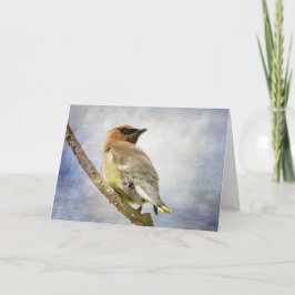 Tarjeta de felicitación de Cedar Waxwing Textured