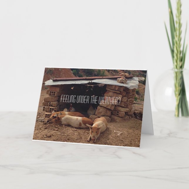 Tarjeta de felicitación de cerdo de simpatía (Anverso)