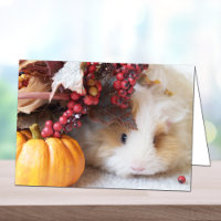 Tarjeta de felicitación de cerdo guineana para esc