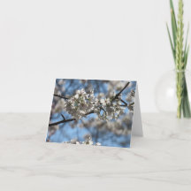 Tarjeta de felicitación de cerezo en flor hipnotiz