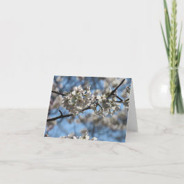 Tarjeta de felicitación de cerezo en flor hipnotiz