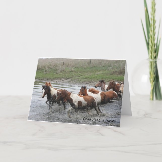 Tarjeta de felicitación de Chincoteague Ponies (Anverso)