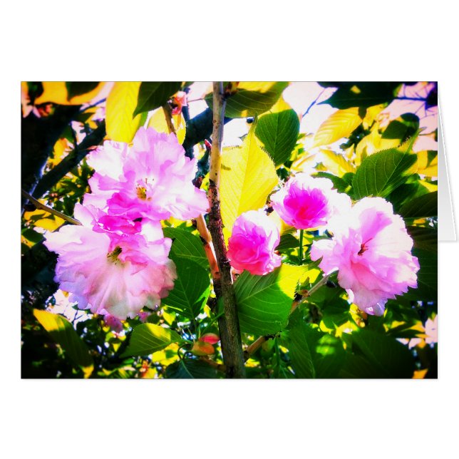 TARJETA DE FELICITACIÓN DE CINCO FLORES DE CEREZO (Anverso (Horizontal))