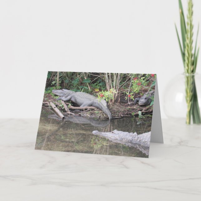 Tarjeta de felicitación de coligador estadounidens (Anverso)