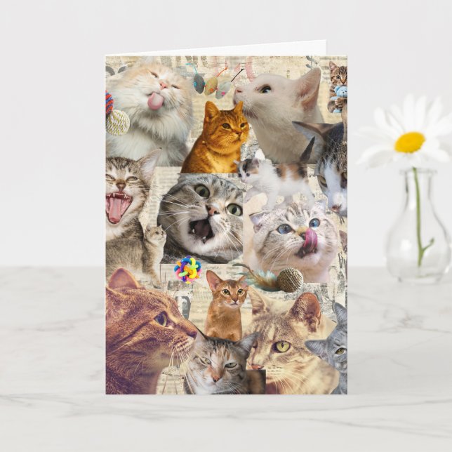 Tarjeta de felicitación de collage de gatos (Planta pequeña)