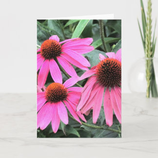 Tarjeta de felicitación de coneflón rosa