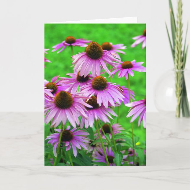 Tarjeta de felicitación de Coneflower (Anverso)