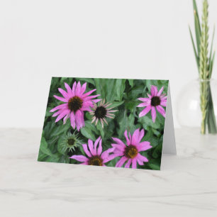 Tarjeta de felicitación de Coneflowers