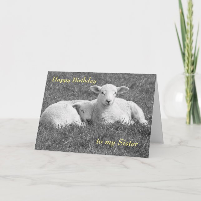 Tarjeta de felicitación de Cordero de Primavera (Anverso)