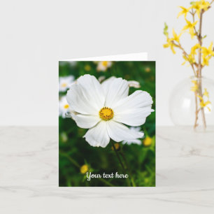Tarjeta de felicitación de Cosmos blancos