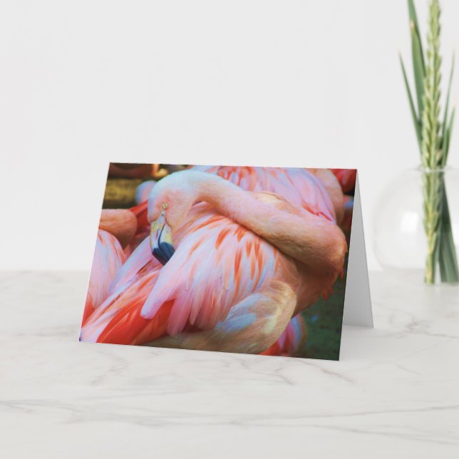 Tarjeta de felicitación/de cualquier ocasión (Anverso)