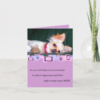 Tarjeta de felicitación de cumpleaños Chihuahua