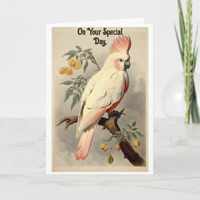 Tarjeta de felicitación de cumpleaños de ave tropi (Anverso)