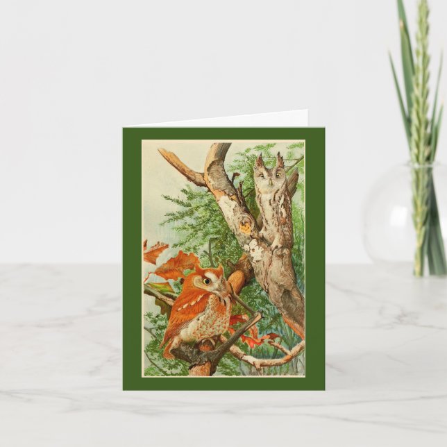 Tarjeta de felicitación de cumpleaños de dos búhos (Anverso)