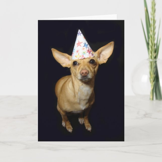 Tarjeta de felicitación de cumpleaños de Gorra de  (Anverso)