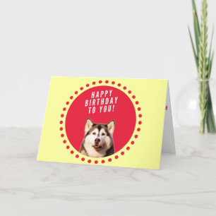 Tarjeta de felicitación de cumpleaños de Husky Dog
