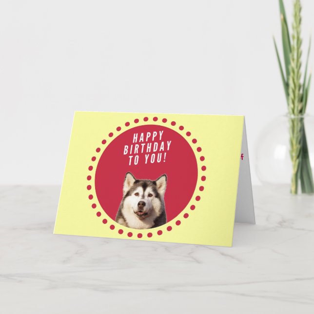 Tarjeta de felicitación de cumpleaños de Husky Dog (Anverso)