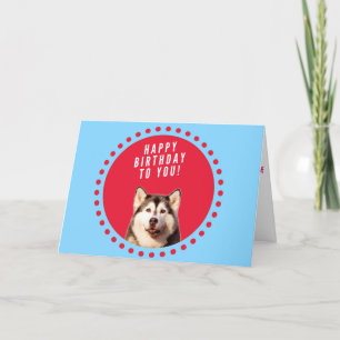 Tarjeta de felicitación de cumpleaños de Husky Dog