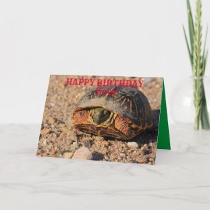 Tarjeta de felicitación de cumpleaños de la tortug