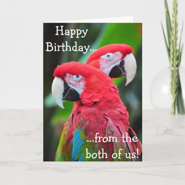 Tarjeta de felicitación de cumpleaños de loros col (Anverso)