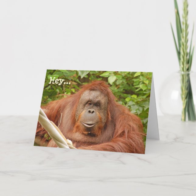 Tarjeta de felicitación de cumpleaños de orangután (Anverso)