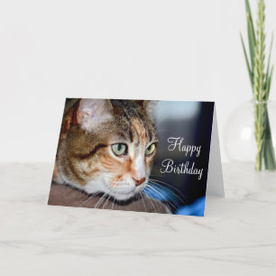 Tarjeta de felicitación de cumpleaños del gato de 