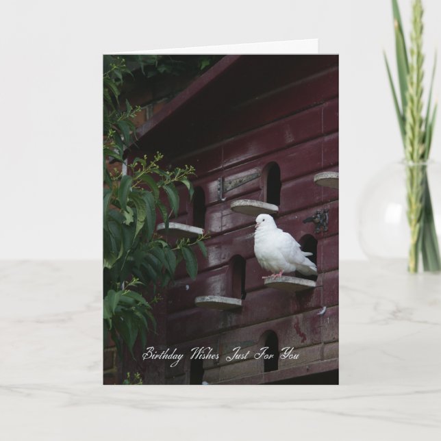 Tarjeta de felicitación de cumpleaños Dove (Anverso)