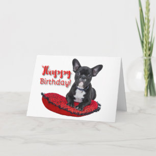 Tarjeta de felicitación de cumpleaños feliz al Bul