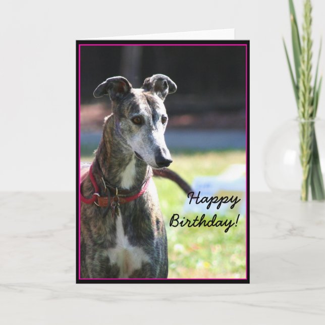 Tarjeta de felicitación de cumpleaños Greyhound (Anverso)