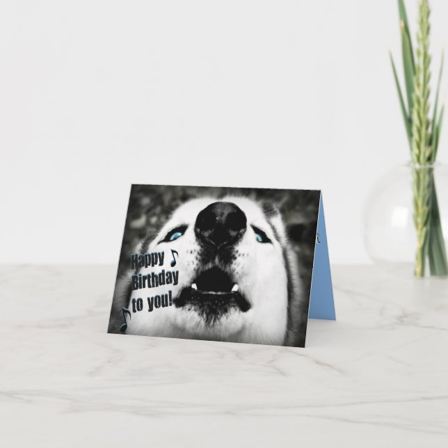 Tarjeta de felicitación de cumpleaños humorística (Anverso)