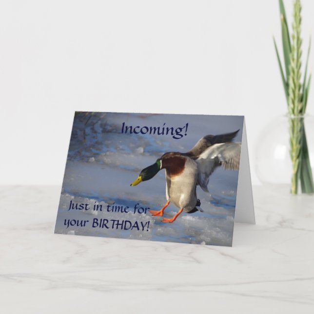 Tarjeta de felicitación de cumpleaños Mallard Duck (Anverso)