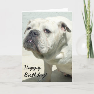 Tarjeta de felicitación de cumpleaños para Bulldog