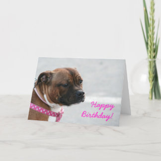 tarjeta de felicitación de cumpleaños para el bull