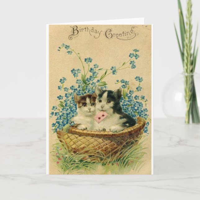 Tarjeta de felicitación de cumpleaños para gato vi (Anverso)